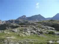 Pyrenaen Bild